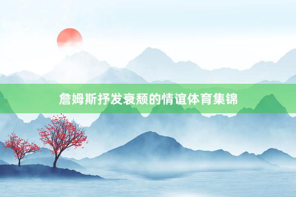 詹姆斯抒发衰颓的情谊体育集锦