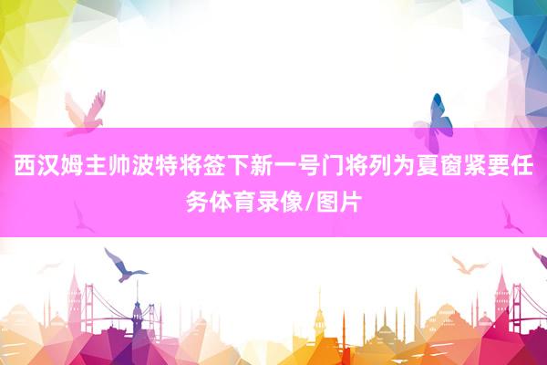 西汉姆主帅波特将签下新一号门将列为夏窗紧要任务体育录像/图片