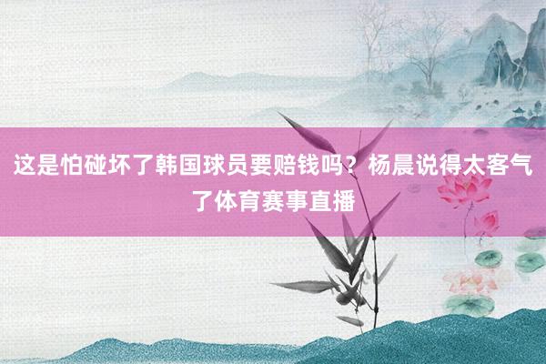 这是怕碰坏了韩国球员要赔钱吗？杨晨说得太客气了体育赛事直播
