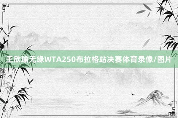 王欣瑜无缘WTA250布拉格站决赛体育录像/图片