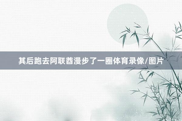 其后跑去阿联酋漫步了一圈体育录像/图片