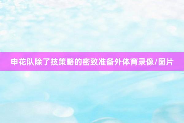 申花队除了技策略的密致准备外体育录像/图片
