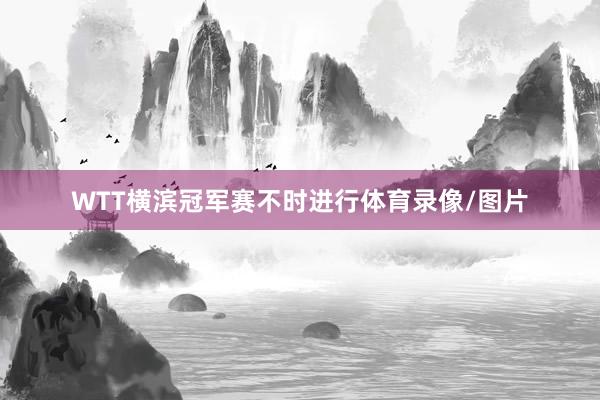 WTT横滨冠军赛不时进行体育录像/图片
