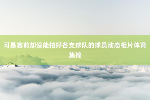 可是赛前却没能拍好各支球队的球员动态相片体育集锦