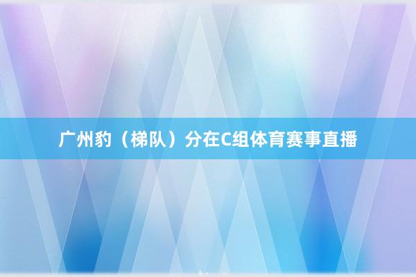 广州豹（梯队）分在C组体育赛事直播