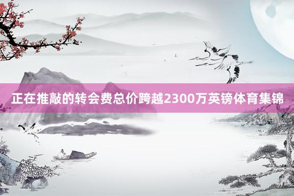 正在推敲的转会费总价跨越2300万英镑体育集锦