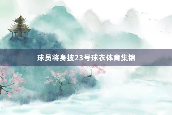 球员将身披23号球衣体育集锦