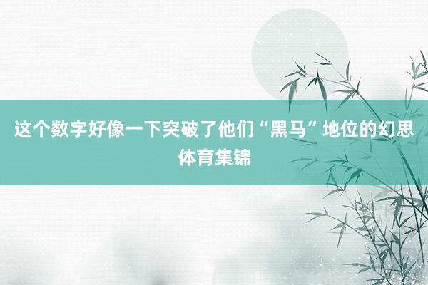 这个数字好像一下突破了他们“黑马”地位的幻思体育集锦