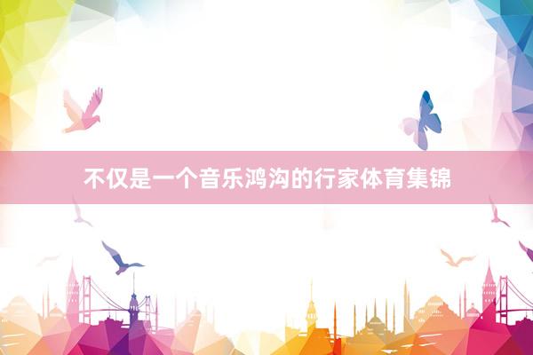 不仅是一个音乐鸿沟的行家体育集锦