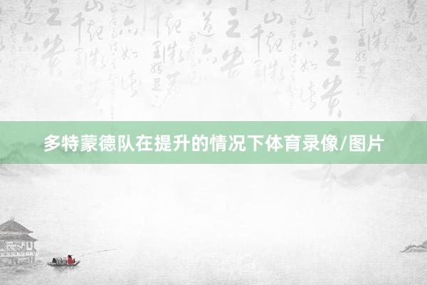 多特蒙德队在提升的情况下体育录像/图片