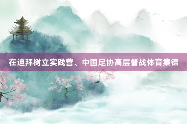 在迪拜树立实践营、中国足协高层督战体育集锦