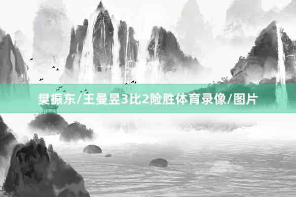 樊振东/王曼昱3比2险胜体育录像/图片