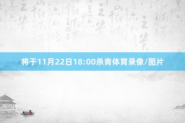 将于11月22日18:00杀青体育录像/图片