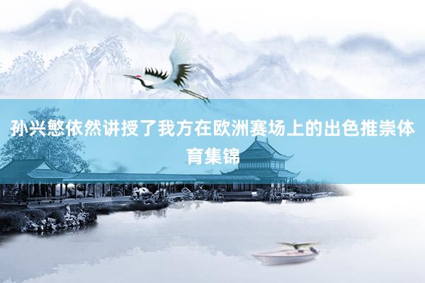孙兴慜依然讲授了我方在欧洲赛场上的出色推崇体育集锦