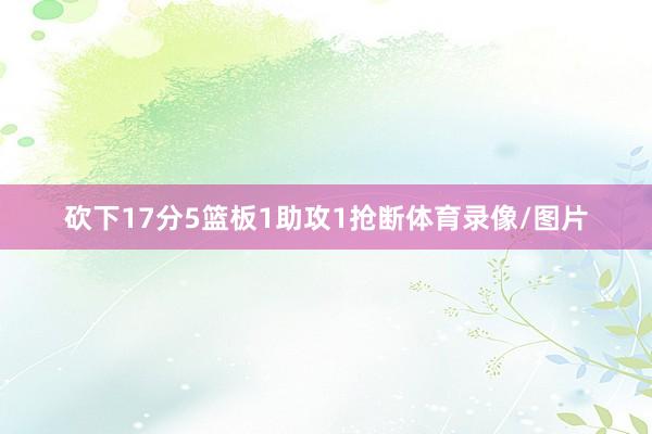 砍下17分5篮板1助攻1抢断体育录像/图片