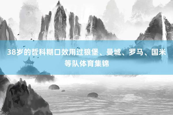 38岁的哲科糊口效用过狼堡、曼城、罗马、国米等队体育集锦