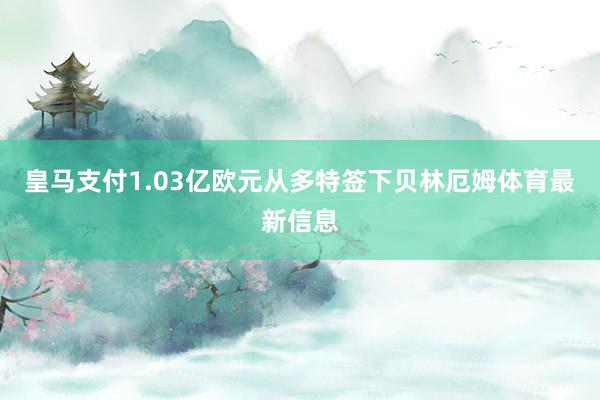 皇马支付1.03亿欧元从多特签下贝林厄姆体育最新信息