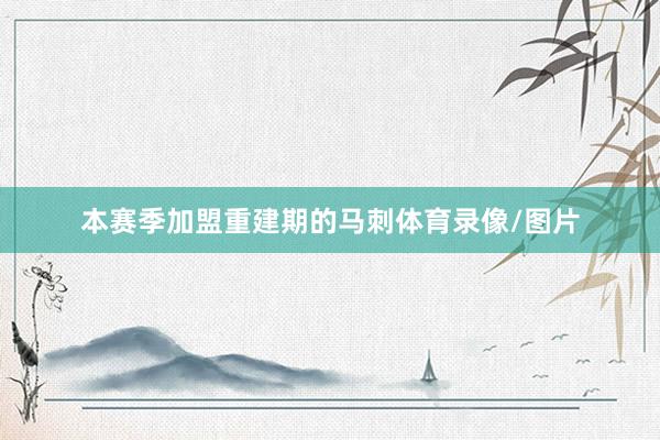 本赛季加盟重建期的马刺体育录像/图片