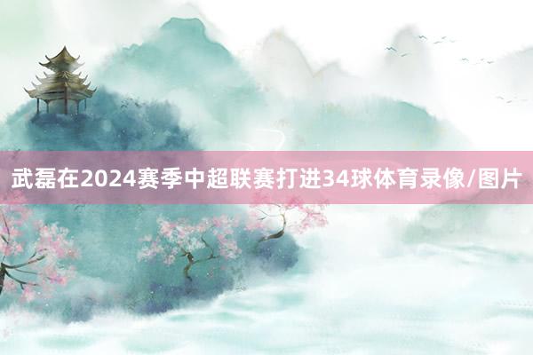 武磊在2024赛季中超联赛打进34球体育录像/图片