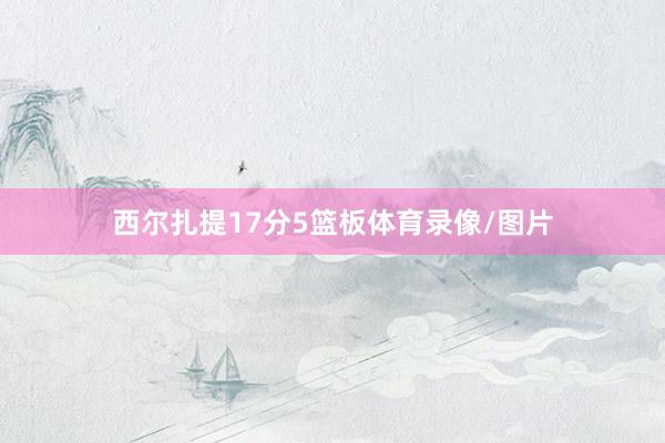 西尔扎提17分5篮板体育录像/图片
