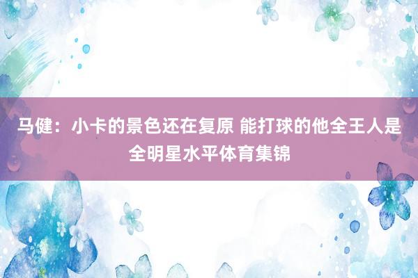 马健：小卡的景色还在复原 能打球的他全王人是全明星水平体育集锦