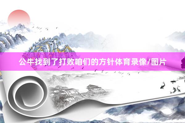 公牛找到了打败咱们的方针体育录像/图片