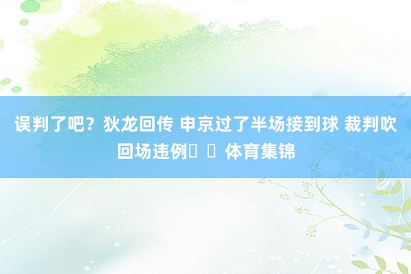 误判了吧？狄龙回传 申京过了半场接到球 裁判吹回场违例❓️体育集锦