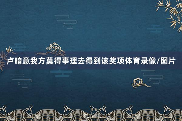 卢暗意我方莫得事理去得到该奖项体育录像/图片