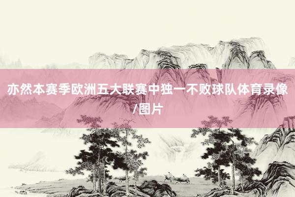 亦然本赛季欧洲五大联赛中独一不败球队体育录像/图片