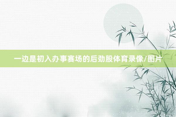 一边是初入办事赛场的后劲股体育录像/图片