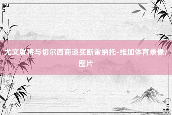 尤文就将与切尔西商谈买断雷纳托-维加体育录像/图片