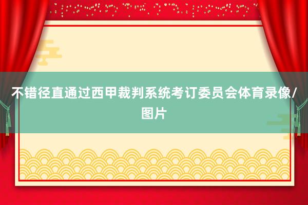 不错径直通过西甲裁判系统考订委员会体育录像/图片