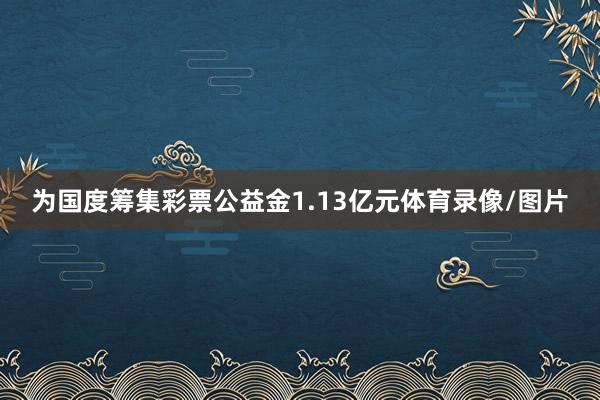 为国度筹集彩票公益金1.13亿元体育录像/图片