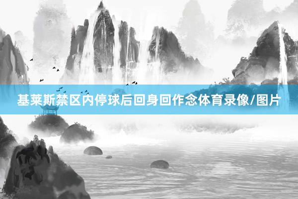 基莱斯禁区内停球后回身回作念体育录像/图片